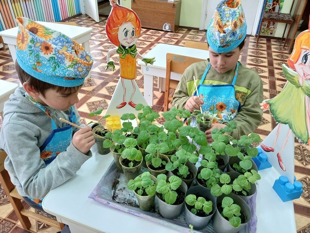 День Эколят.